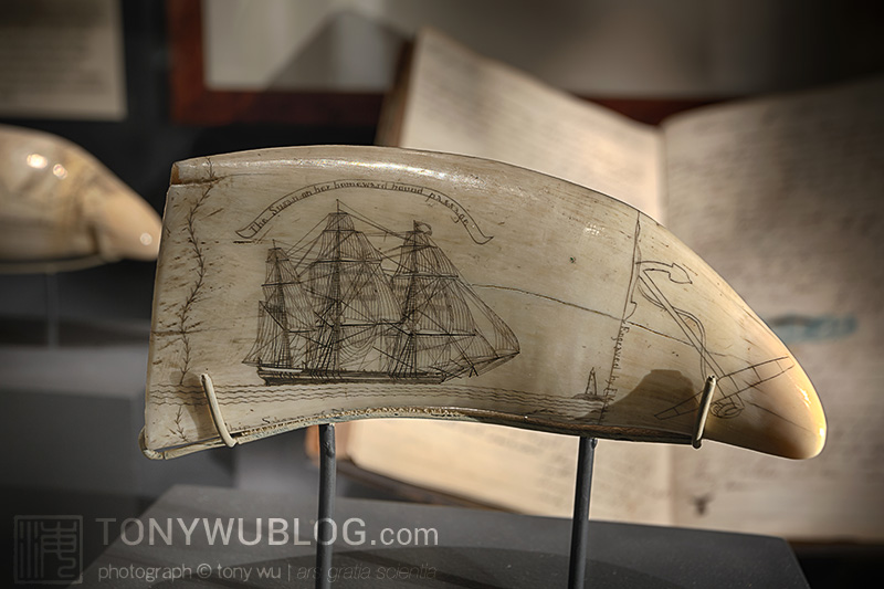 Scrimshaw, sperm whale tooth, Nantucket Whaling Museum